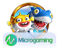 รีวิว high roller bonus เพิ่มความสนุกในเกมสล็อต